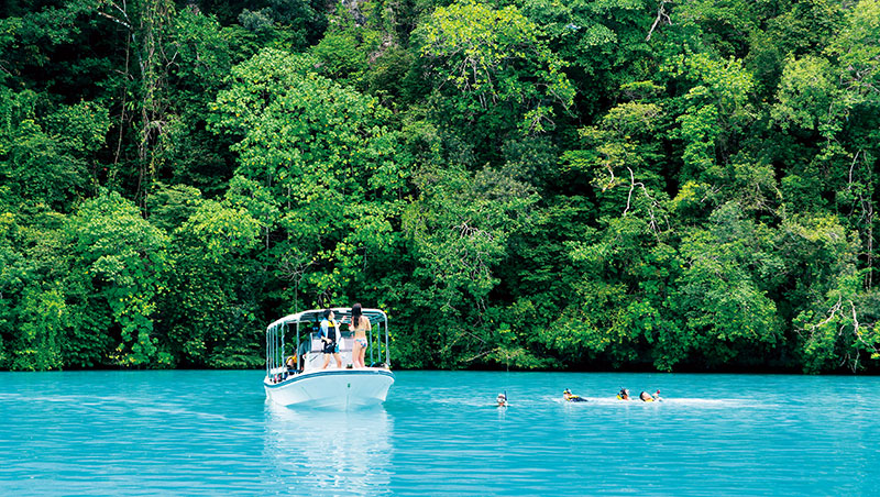 疫情前帛琉景點牛奶湖到處都是遊客，疫情後因人數控管，旅客可享受獨有的靜謐跟天然環境